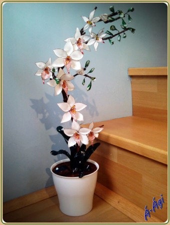 3D orchidea 1